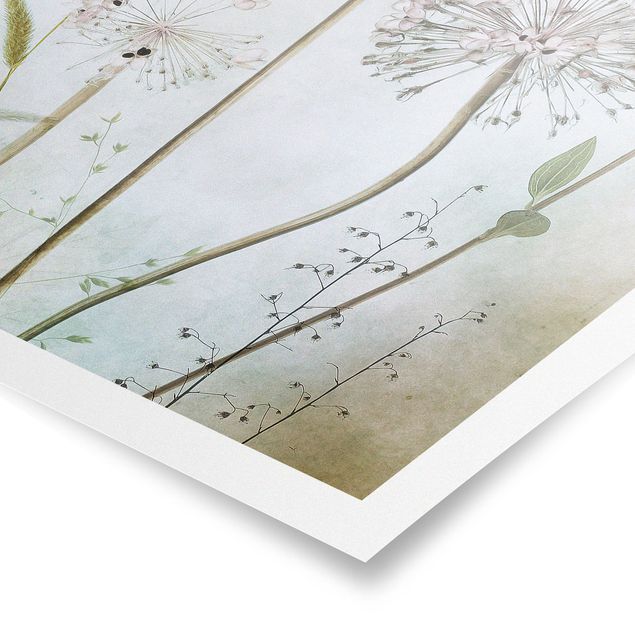 Poster - Lauchblüten in Pastell - Hochformat 3:4
