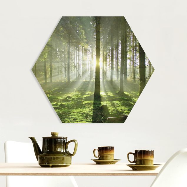 Hexagon Bild Forex - Spring Fairytale