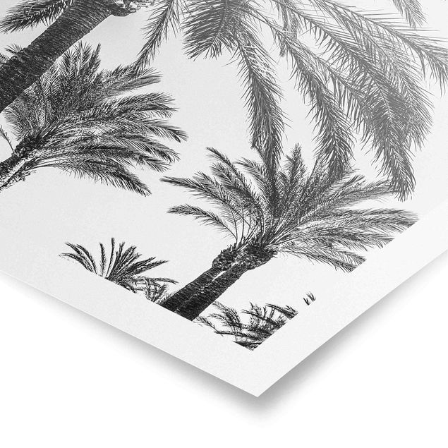 Poster - Palmen im Sonnenuntergang Schwarz-Weiß - Hochformat 3:2