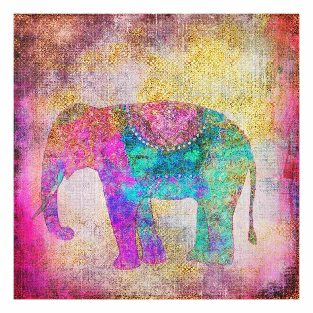 Forex Fine Art Print - Bunte Collage - Indischer Elefant - Quadrat 1:1