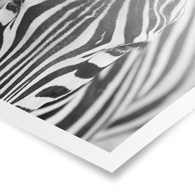 Poster - Zebra Look - Querformat 2:3