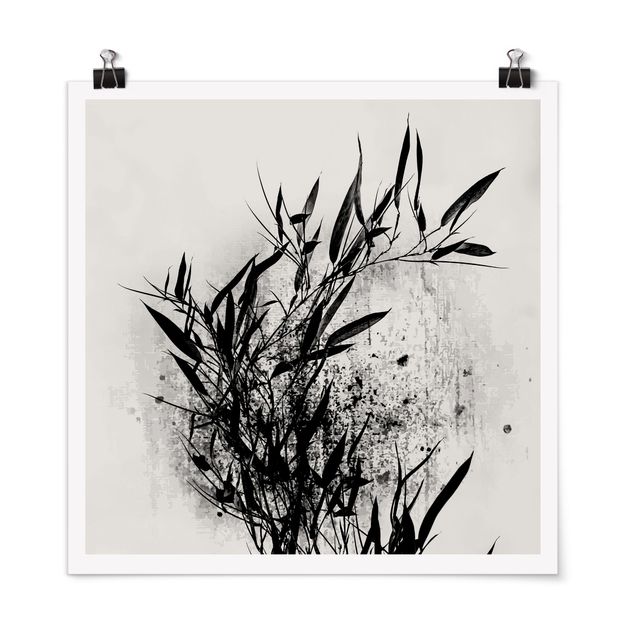Poster - Grafische Pflanzenwelt - Schwarzer Bambus - Quadrat 1:1