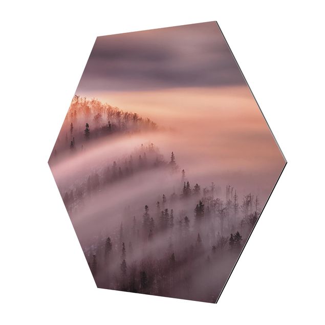 Hexagon Bild Alu-Dibond - Nebelflut