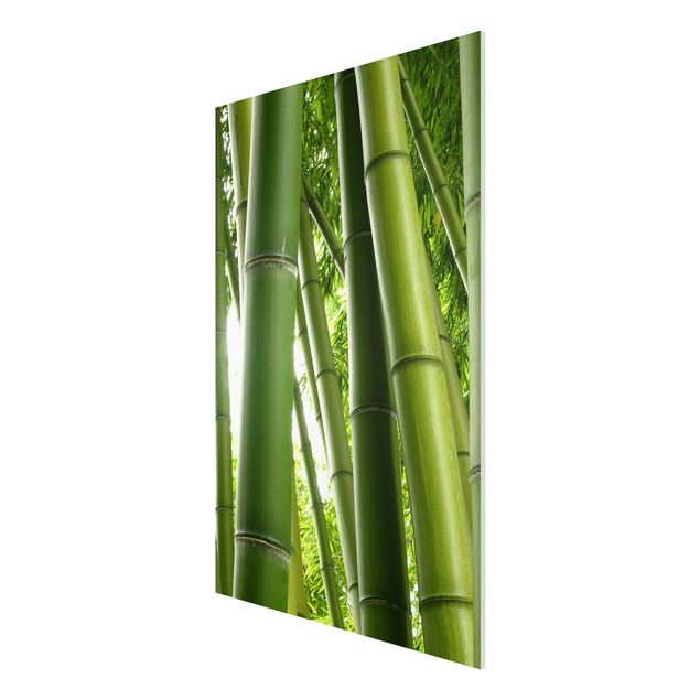Forexbild - Bamboo Trees No.1