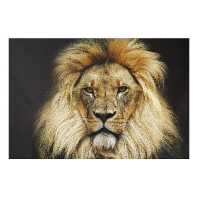 Forexbild - Wisdom of Lion