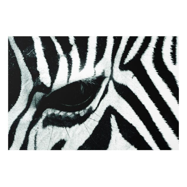 Forexbild - Zebra Crossing No.4