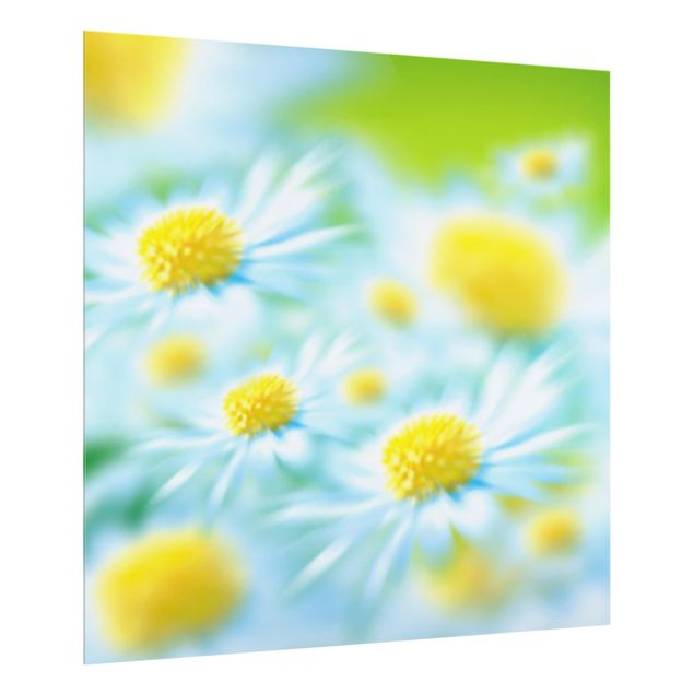 Glas Spritzschutz - Dahlien Blumenmeer weiß - Quadrat - 1:1