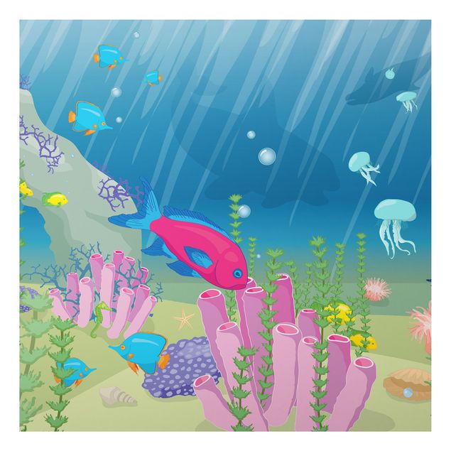 Alu-Dibond Bild - Unterwasserwelt