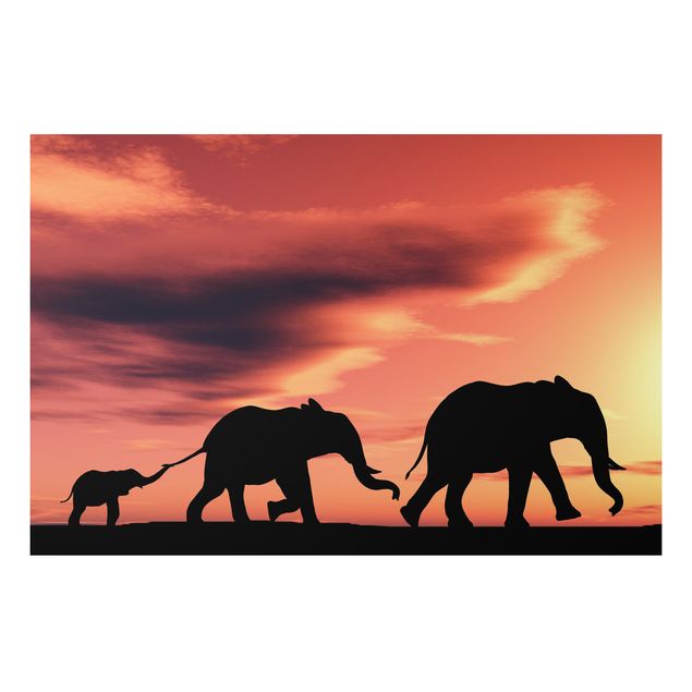 Alu-Dibond Bild - Savannah Elefant Family