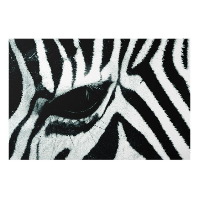Alu-Dibond Bild - Zebra Crossing No.4