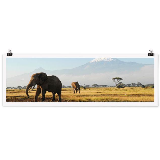 Poster - Elefanten vor dem Kilimanjaro in Kenya - Panorama Querformat