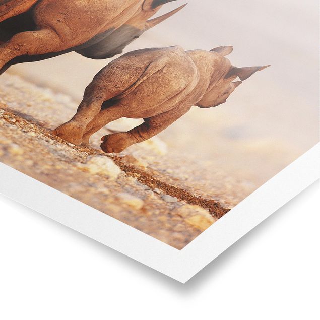 Poster - Wandering Rhinos - Querformat 3:4