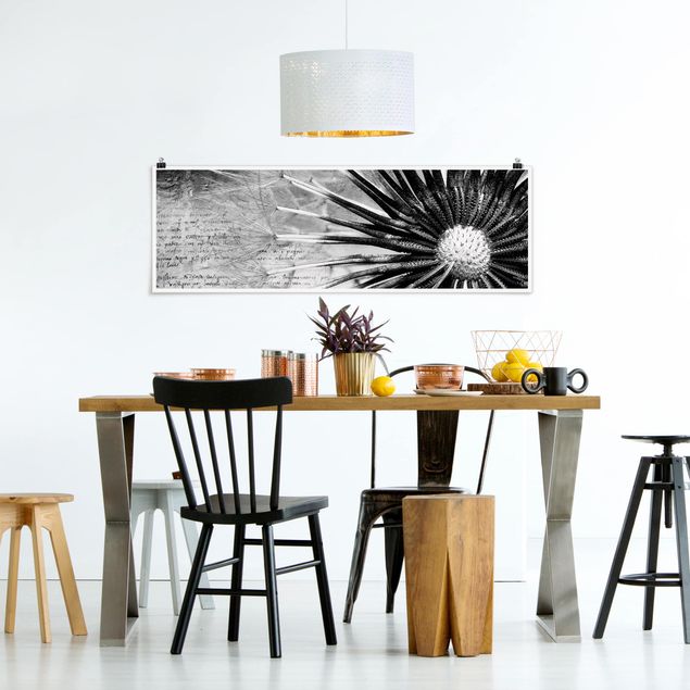 Poster - Pusteblume Schwarz & Weiß - Panorama Querformat