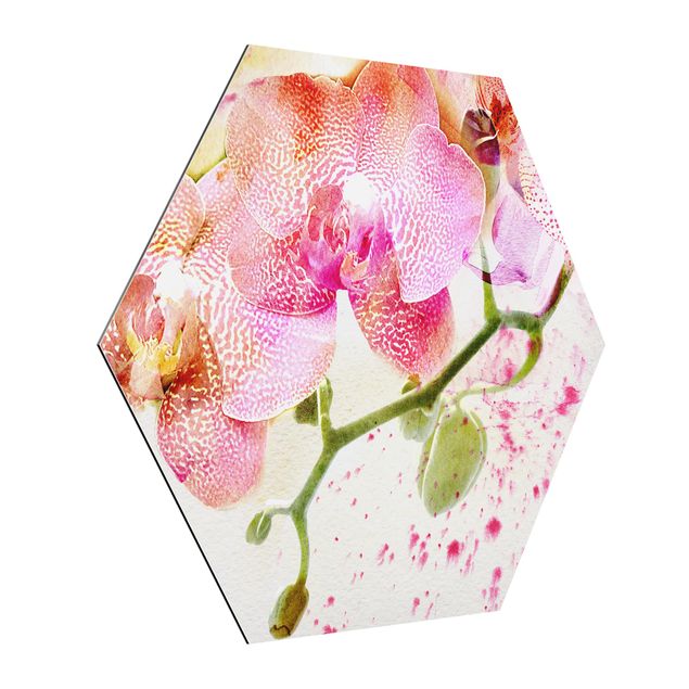 Hexagon Bild Alu-Dibond - Aquarell Blumen Orchideen