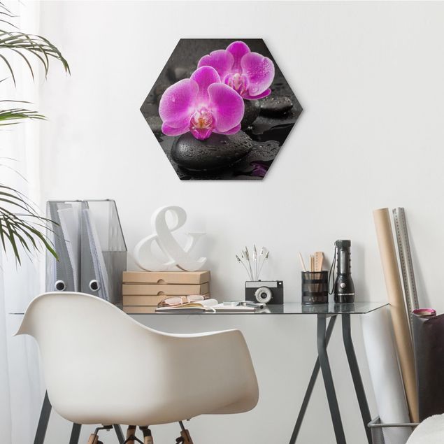 Hexagon Bild Alu-Dibond - Pinke Orchideenblüten auf Steinen mit Tropfen