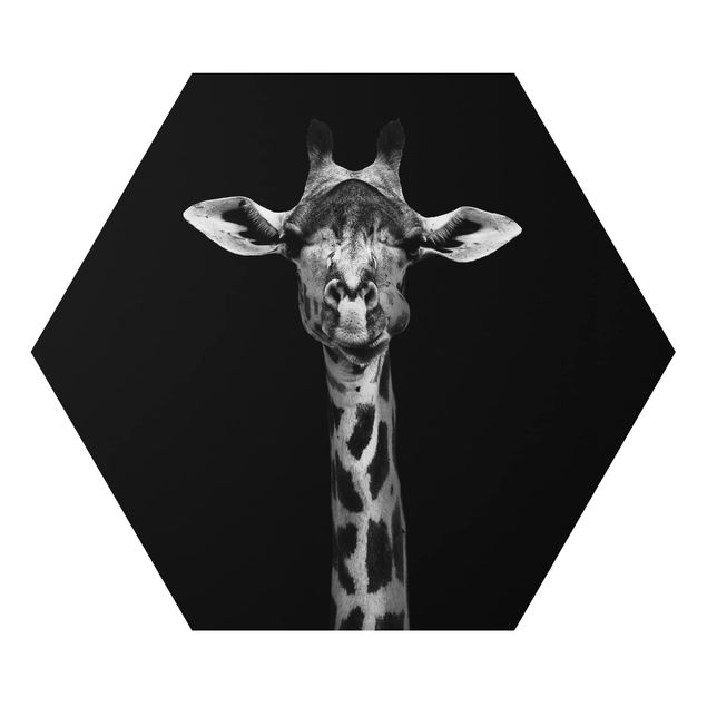 Hexagon Bild Alu-Dibond - Dunkles Giraffen Portrait