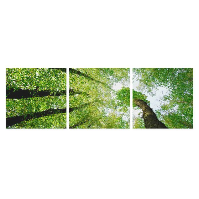 Leinwandbild 3-teilig - Bäume des Lebens - Quadrate 1:1
