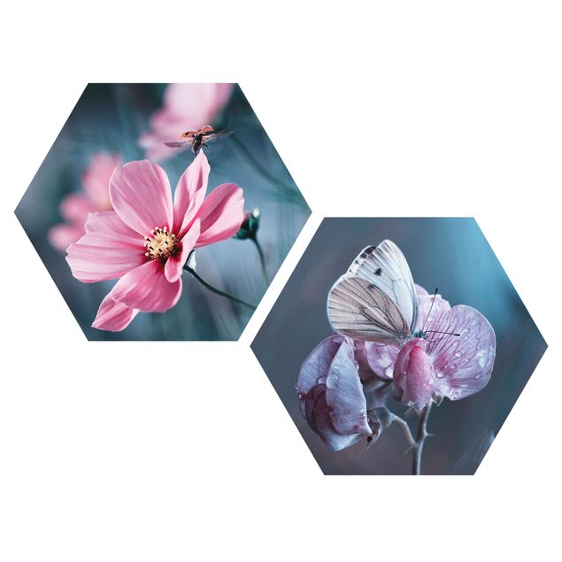 Hexagon Bild Alu-Dibond 2-teilig - Schmetterling und Marienkäfer auf Blüten