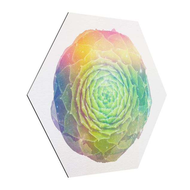 Hexagon Bild Alu-Dibond - Wasserfarben - Mandala Sukkulente