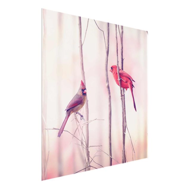 Glasbild - Vögel auf Zweigen - Quadrat 1:1