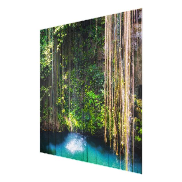Glasbild - Hängende Wurzeln von Ik-Kil Cenote - Quadrat 1:1