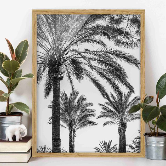 Bild mit Rahmen - Palmen im Sonnenuntergang Schwarz-Weiß - Hochformat 4:3