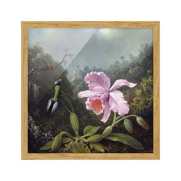Bild mit Rahmen - Martin Johnson Heade - Stillleben mit Orchidee und zwei Kolibris - Quadrat 1:1