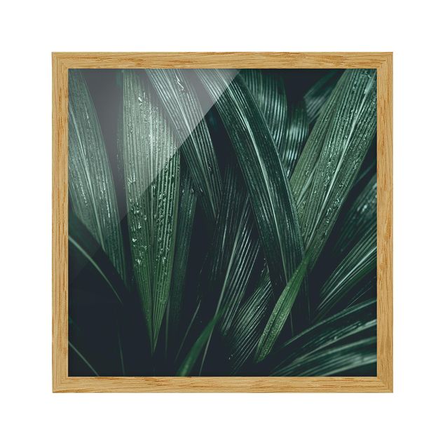 Bild mit Rahmen - Grüne Palmenblätter - Quadrat 1:1