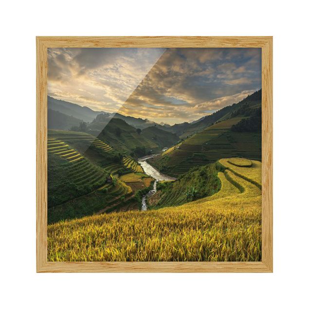 Bild mit Rahmen - Reisplantagen in Vietnam - Quadrat 1:1