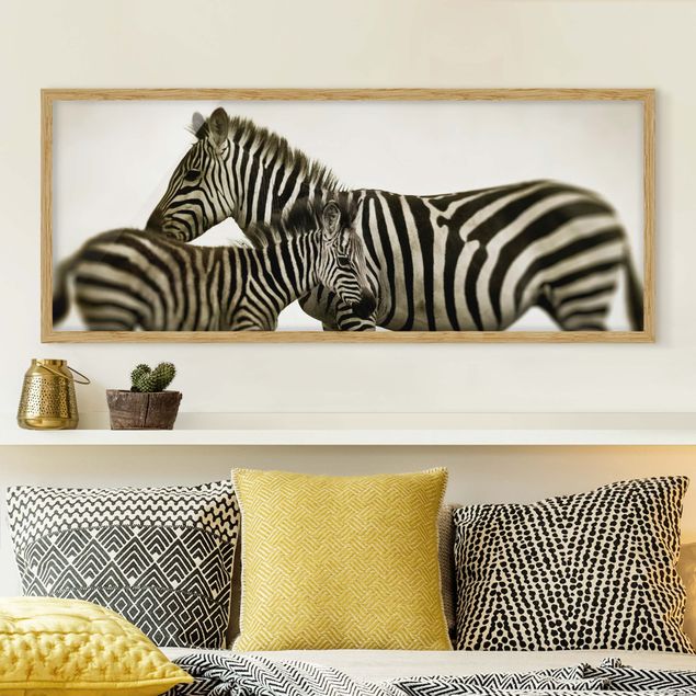 Bild mit Rahmen - Zebrapaar - Panorama Querformat