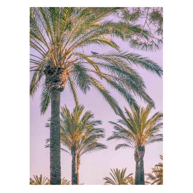 Leinwandbild - Palmen im Sonnenuntergang - Hochformat 4:3