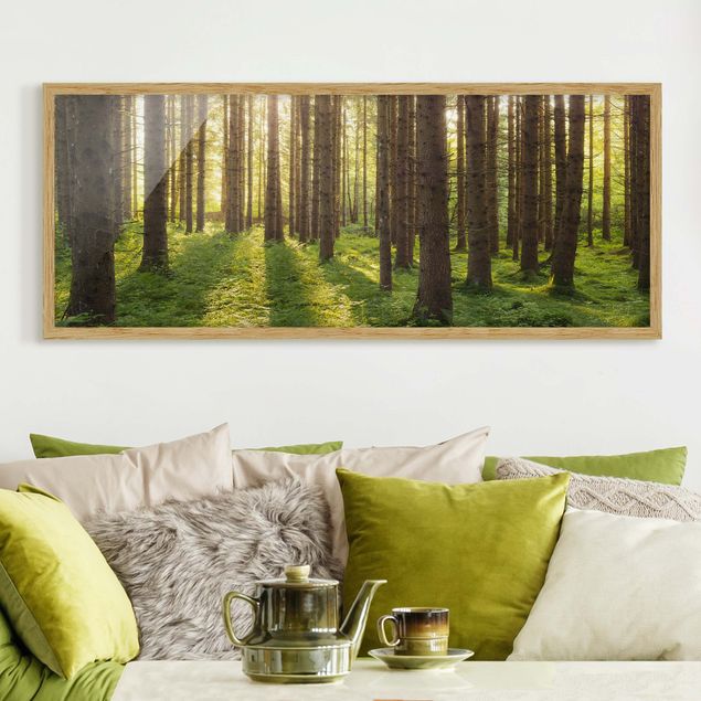 Bild mit Rahmen - Sonnenstrahlen in grünem Wald - Panorama Querformat