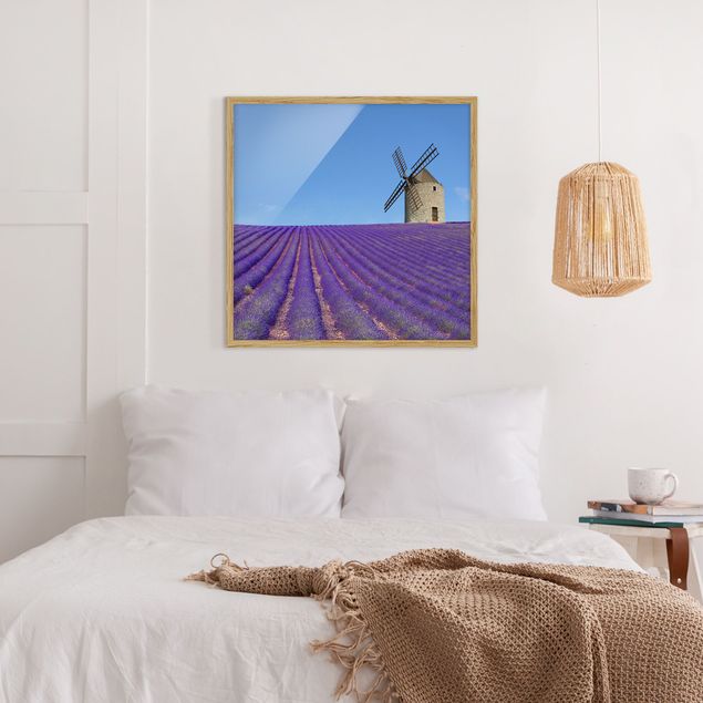 Bild mit Rahmen - Lavendelduft in der Provence - Quadrat 1:1