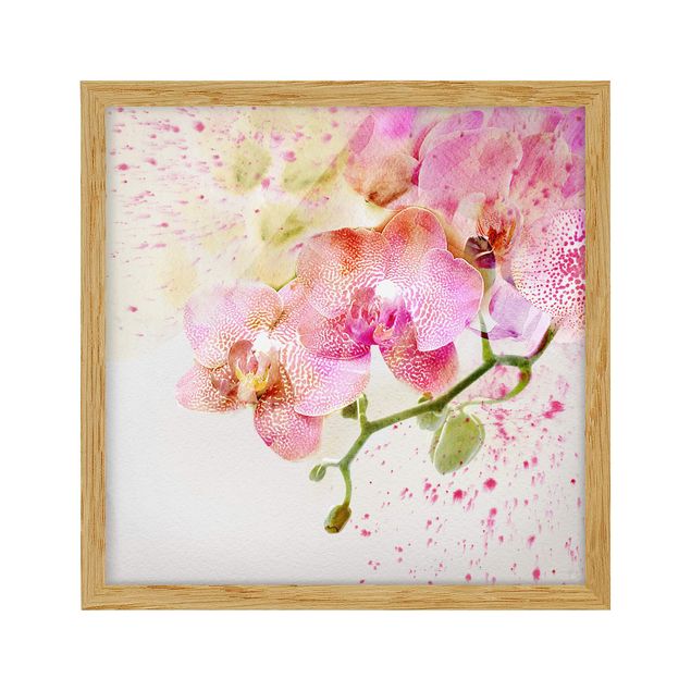Bild mit Rahmen - Aquarell Blumen Orchideen - Quadrat 1:1