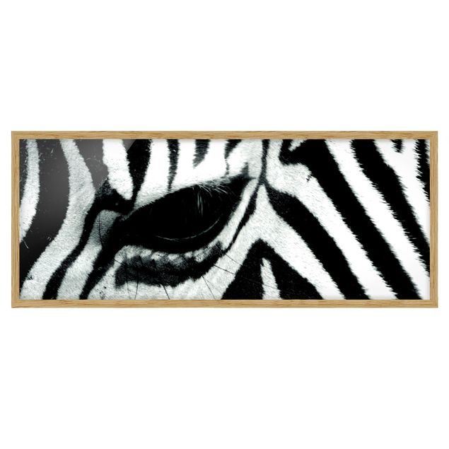 Bild mit Rahmen - Zebra Crossing - Panorama Querformat