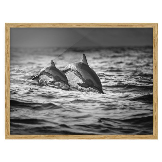Bild mit Rahmen - Zwei springende Delfine - Querformat 3:4
