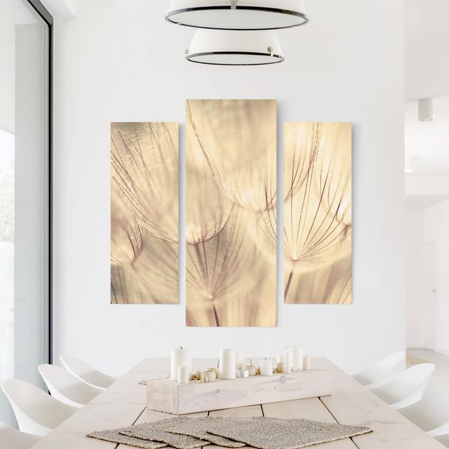 Leinwandbild 3-teilig - Pusteblumen Nahaufnahme in wohnlicher Sepia Tönung - Galerie Triptychon