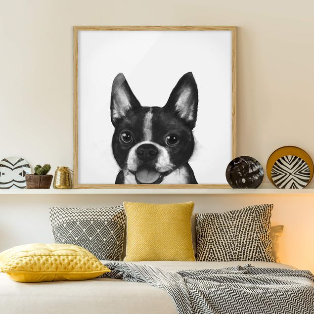 Bild mit Rahmen - Illustration Hund Boston Schwarz Weiß Malerei - Quadrat 1:1