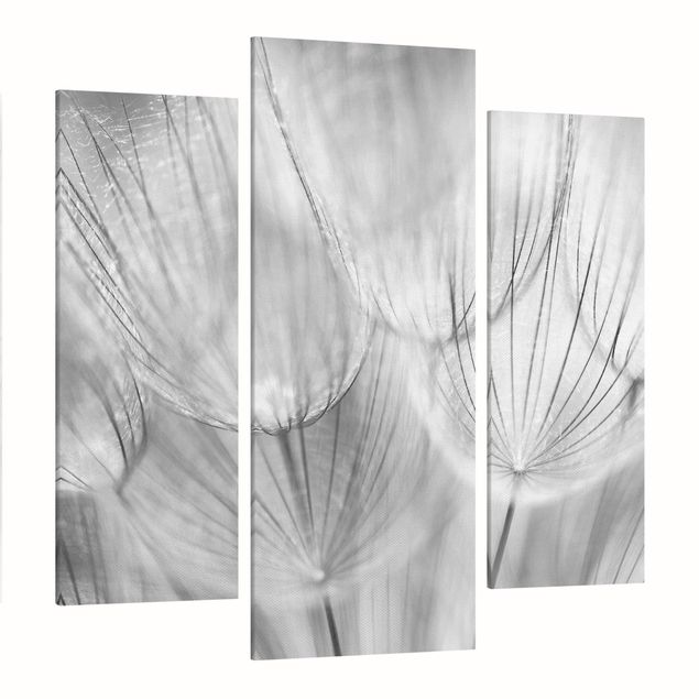 Leinwandbild 3-teilig - Pusteblumen Makroaufnahme in schwarz weiß - Galerie Triptychon
