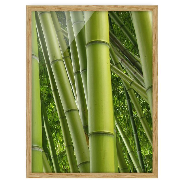 Bild mit Rahmen - Bamboo Trees No.2 - Hochformat 3:4