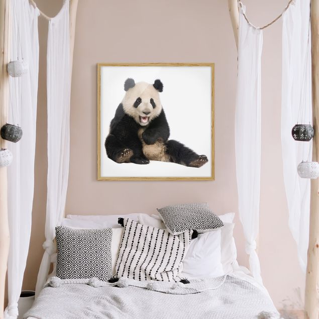 Bild mit Rahmen - Lachender Panda - Quadrat 1:1
