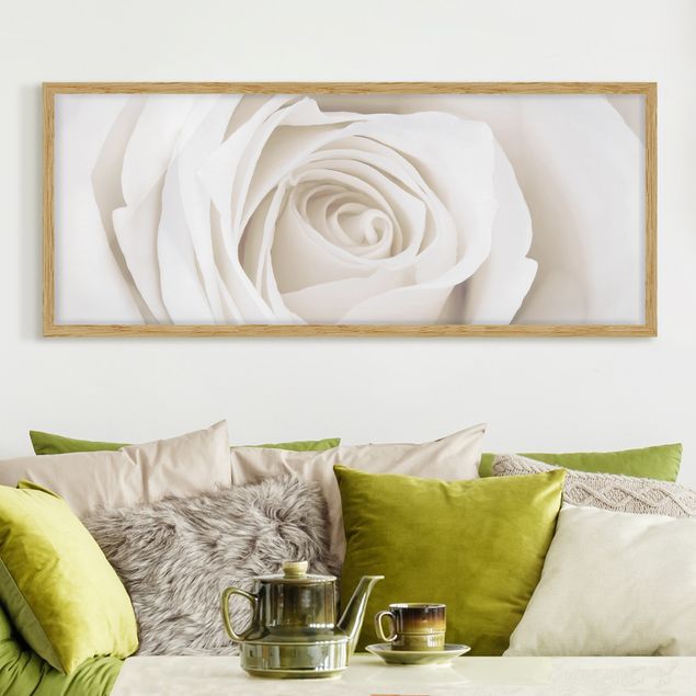 Bild mit Rahmen - Pretty White Rose - Panorama Querformat
