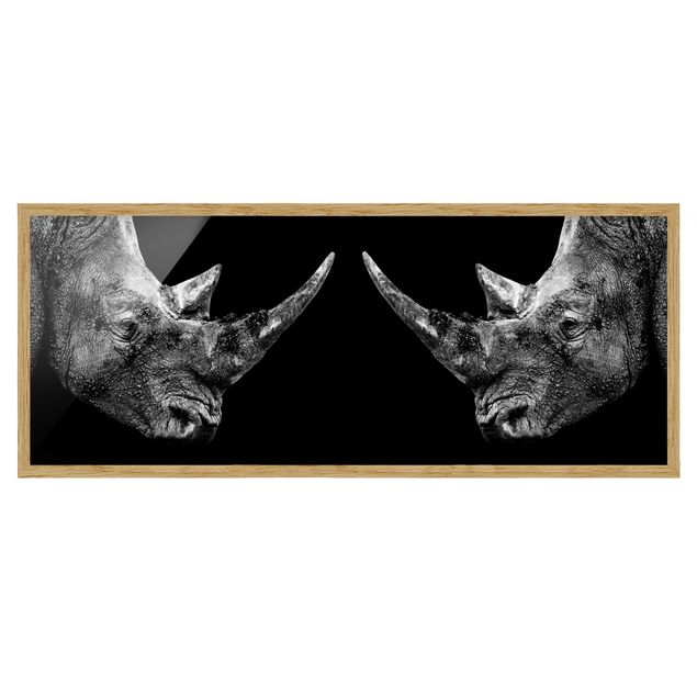 Bild mit Rahmen - Nashorn Duell - Panorama Querformat