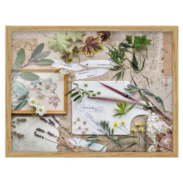Bild mit Rahmen - Blumen und Gartenkräuter Vintage - Querformat 3:4