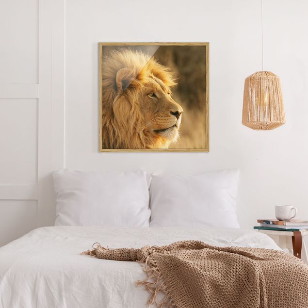 Bild mit Rahmen - Löwenkönig - Quadrat 1:1