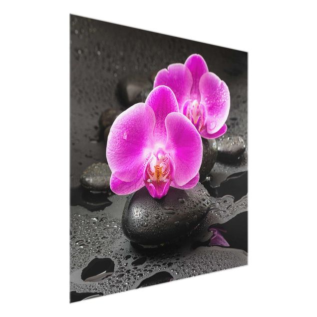 Glasbild - Pinke Orchideenblüten auf Steinen mit Tropfen - Quadrat 1:1