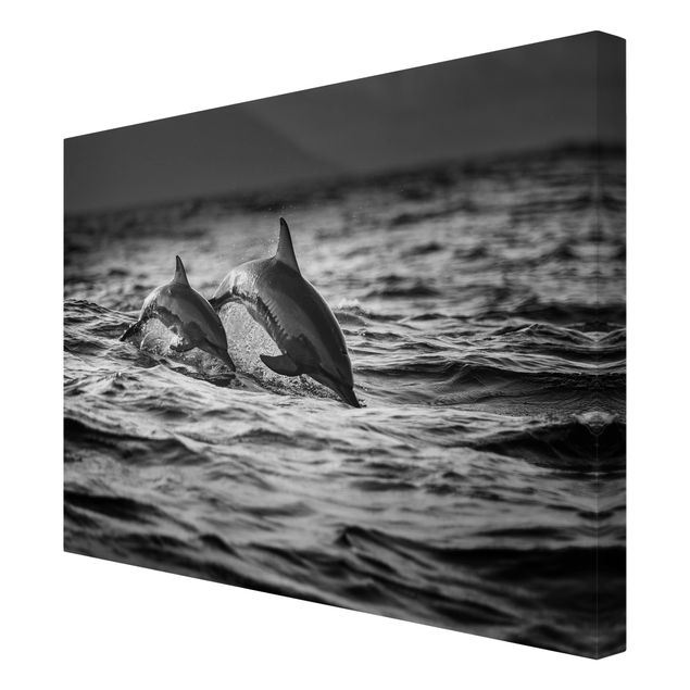 Leinwandbild - Zwei springende Delfine - Querformat 3:4