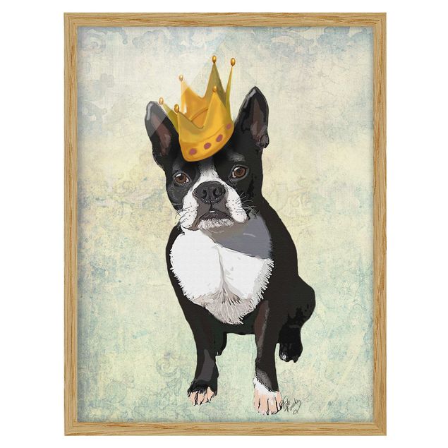 Bild mit Rahmen - Tierportrait - Terrierkönig - Hochformat 4:3