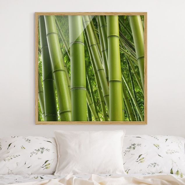 Bild mit Rahmen - Bamboo Trees - Quadrat 1:1