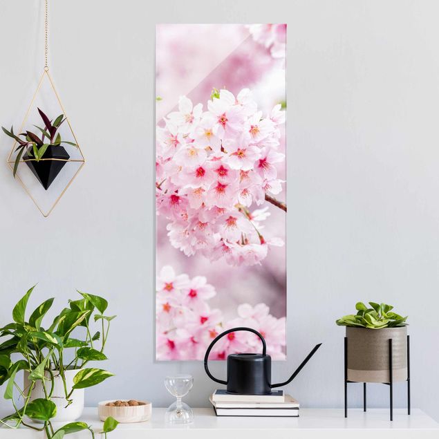 Glas Magnetboard Japanische Kirschblüten